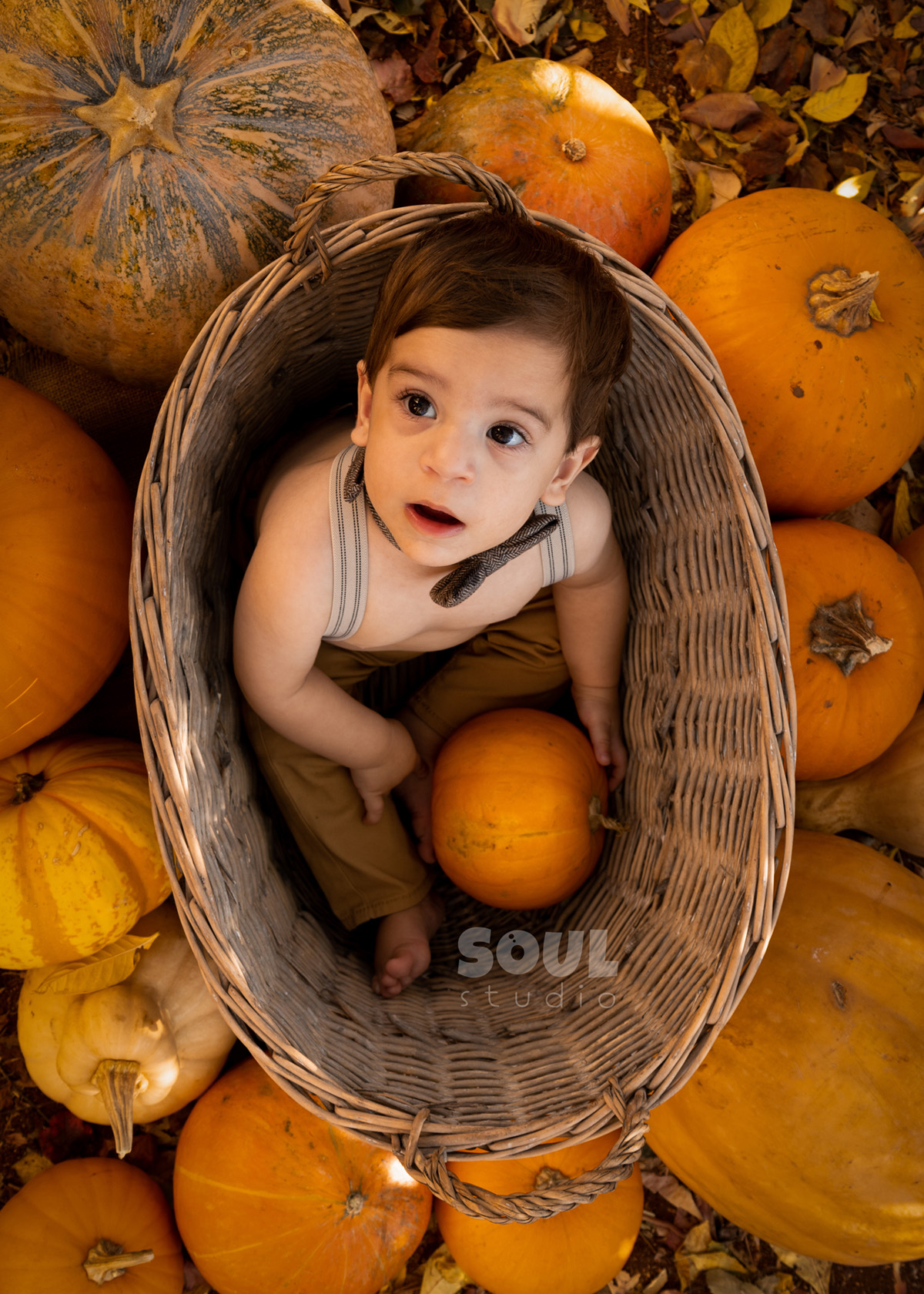 baby outdoor autumn fall setup 1 year old sitter boy pumpkin patch dry leaves orange yellow red squash